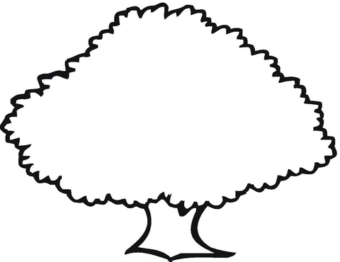 Old Oak Outline  Coloring Page